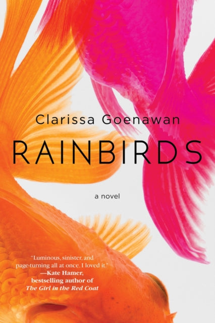 Rain Birds-9781641290180