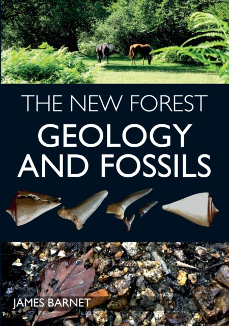 The New Forest : Geology and Fossils-9781785008160