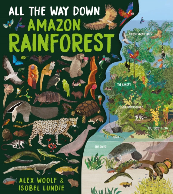 All The Way Down: Amazon Rainforest-9781913337988