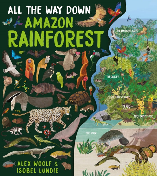 All The Way Down: Amazon Rainforest-9781913337988