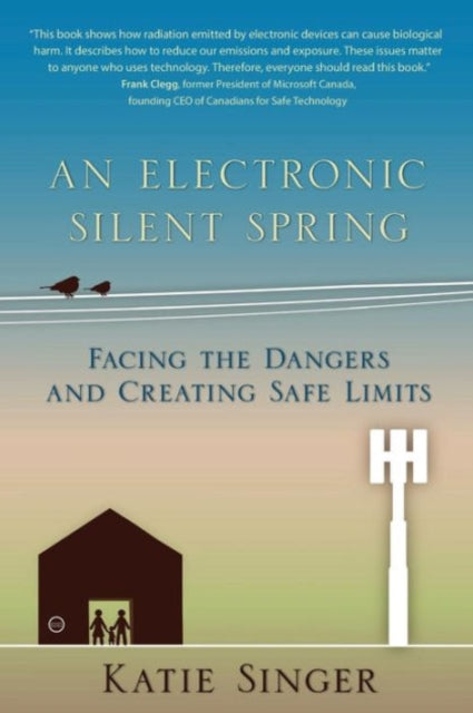 An Electronic Silent Spring : Facing the Dangers and Creating Safe Limits-9781938685088